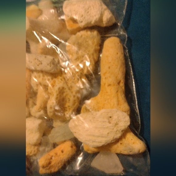 Corals and Beach Gems - Picture 7 of 7